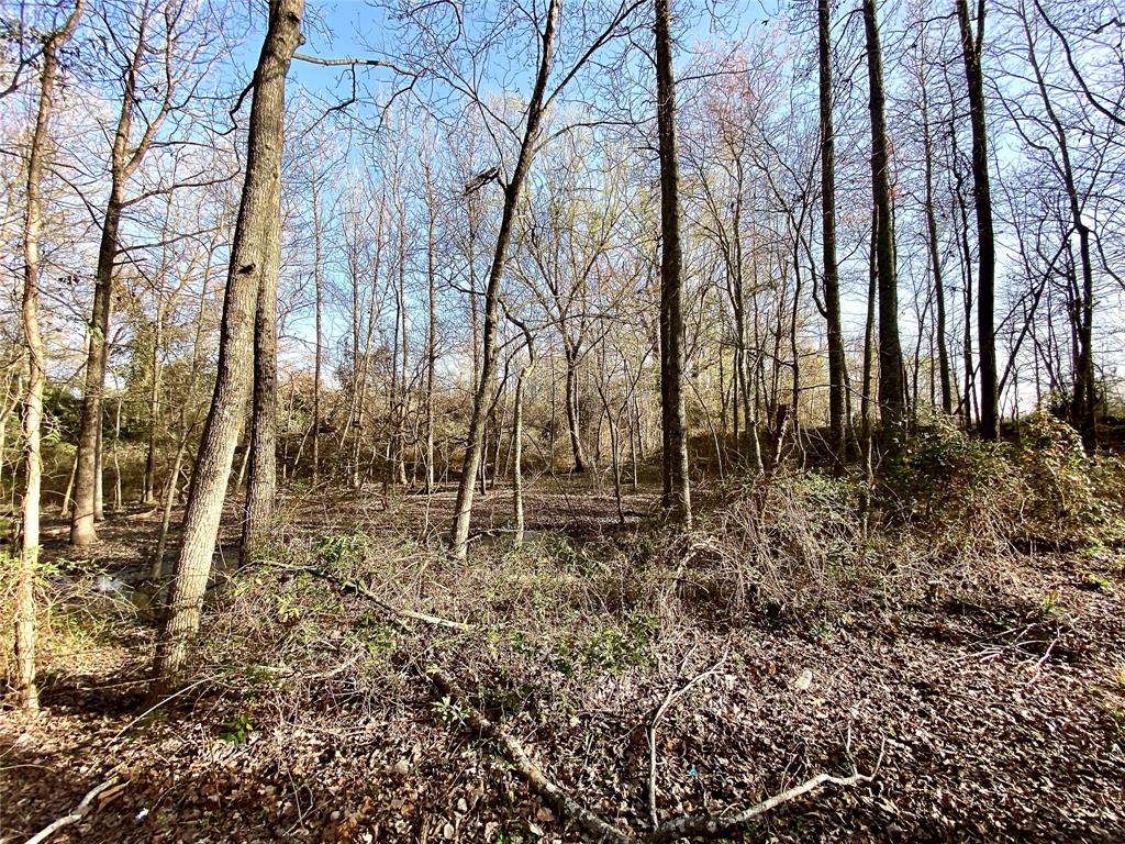 Tbd Vz County Road 4105 Property Photo 2