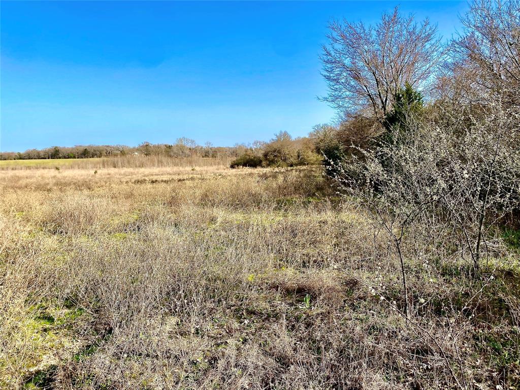 Tbd Vz County Road 4105 Property Photo 3