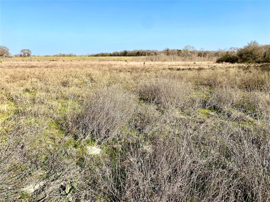 Tbd Vz County Road 4105 Property Photo 4