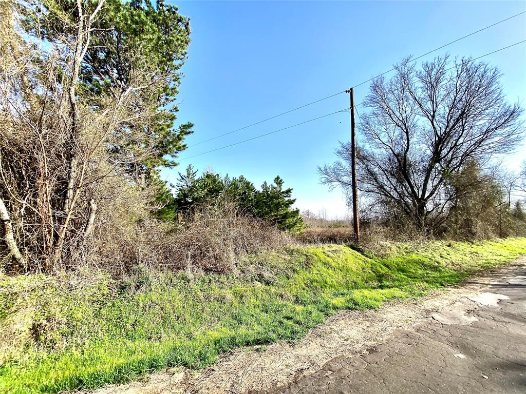 Tbd Vz County Road 4105 Property Photo 7