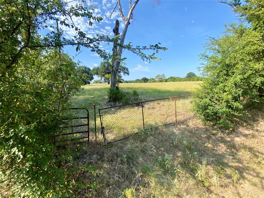 Tbd Vz County Road 2506 Property Photo 9