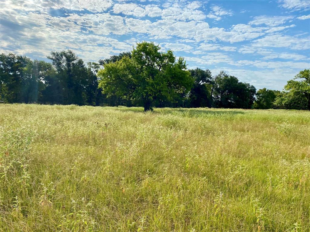 Tbd Vz County Road 2506 Property Photo 12