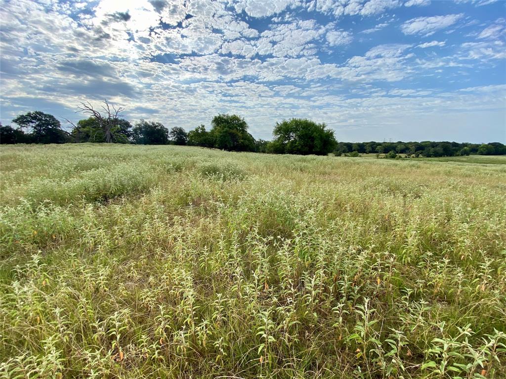 Tbd Vz County Road 2506 Property Photo 13