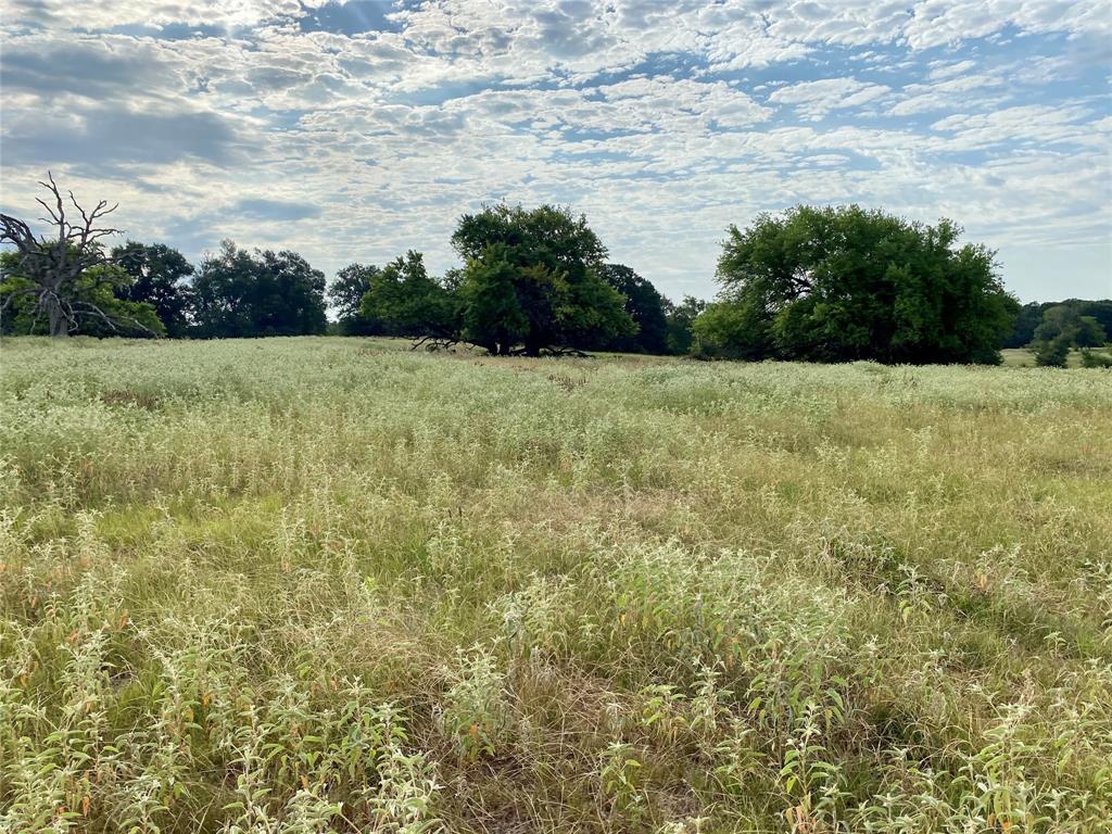 Tbd Vz County Road 2506 Property Photo 14