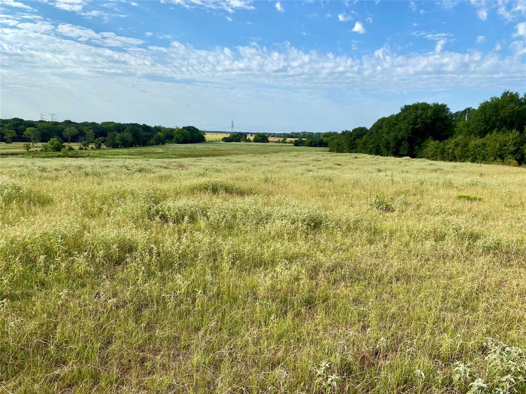 Tbd Vz County Road 2506 Property Photo 15