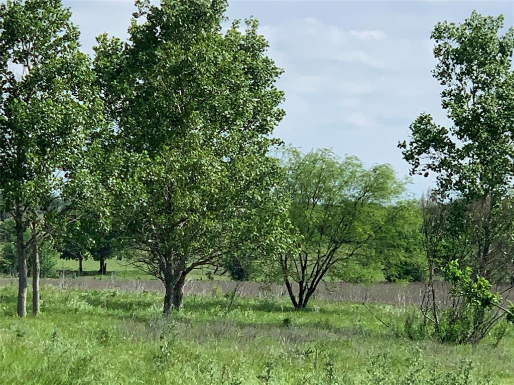4748 County Rd 1010a Property Photo 6