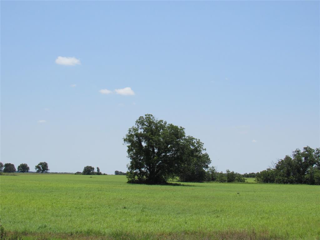 Tbd Co Rd 295 Property Photo