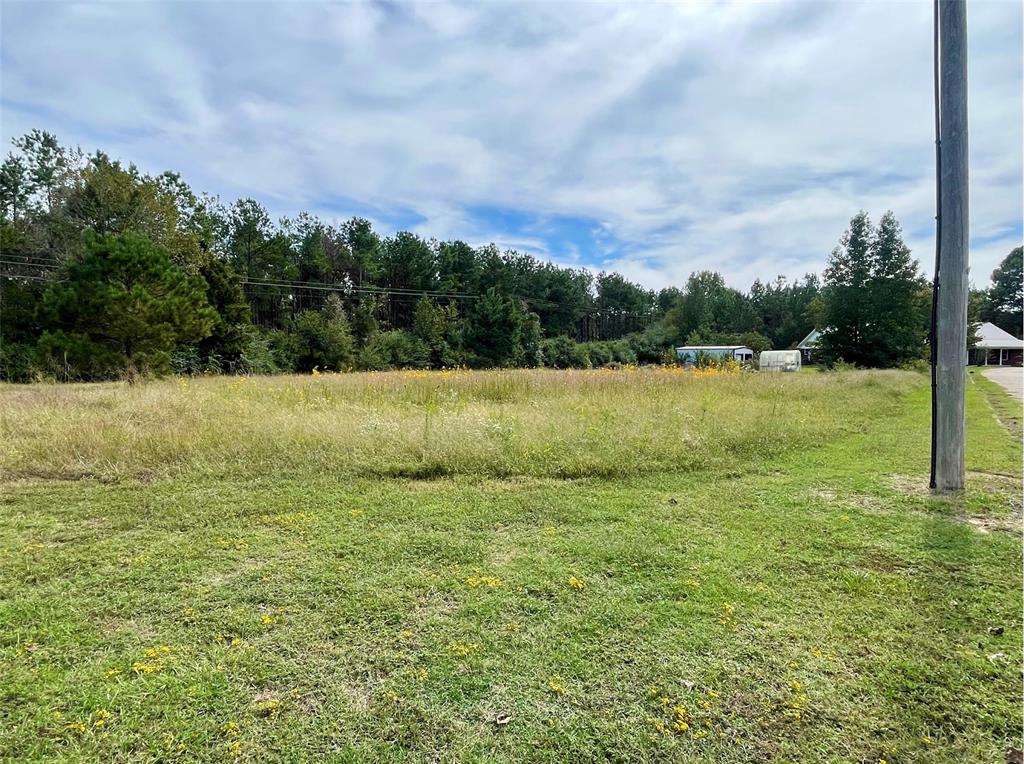 Lot 28 Twin Springs Trail Property Photo
