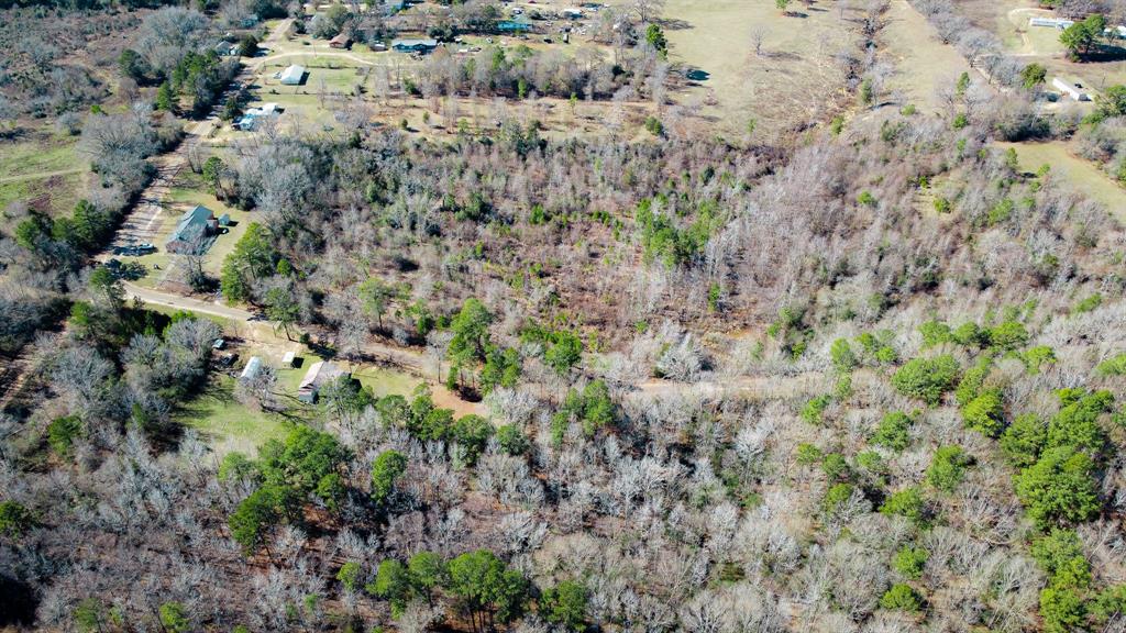 5.032 Acres Cr 3308 Property Photo 9