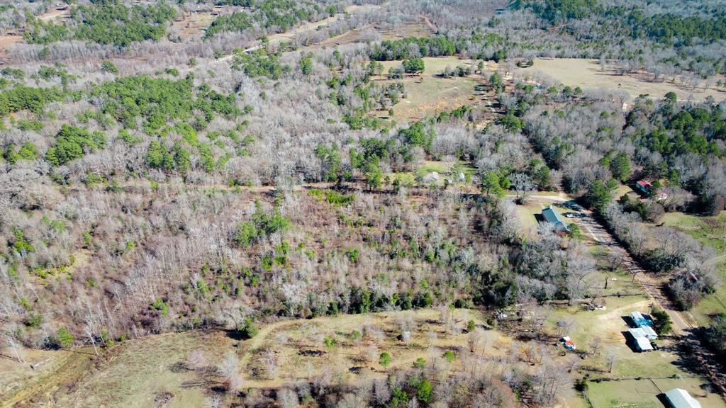 5.032 Acres Cr 3308 Property Photo 13