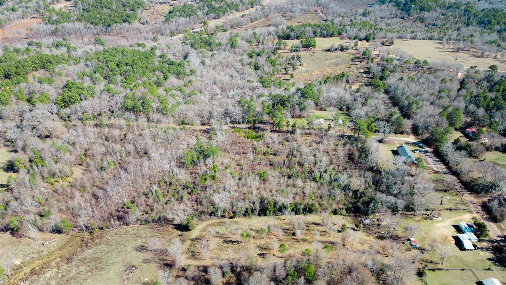 5.032 Acres Cr 3308 Property Photo 14