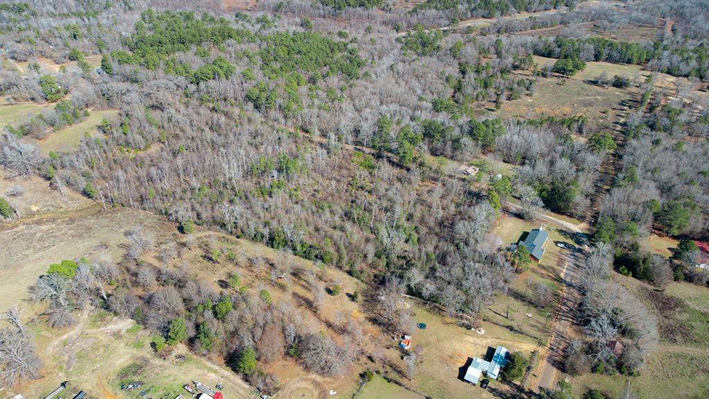 5.032 Acres Cr 3308 Property Photo 15