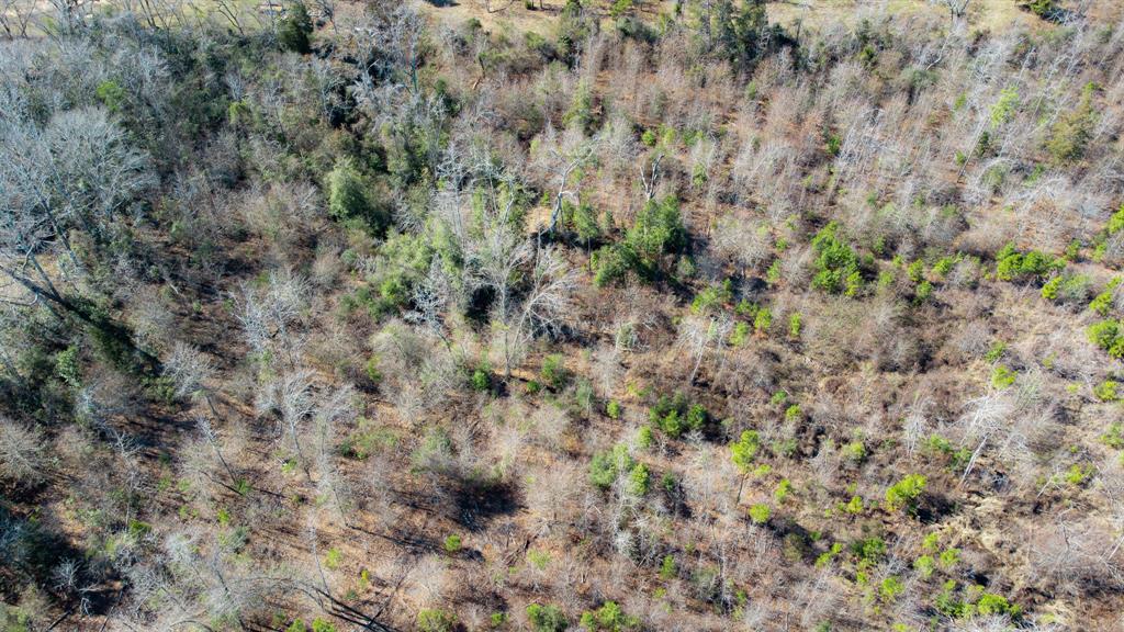 5.032 Acres Cr 3308 Property Photo 23