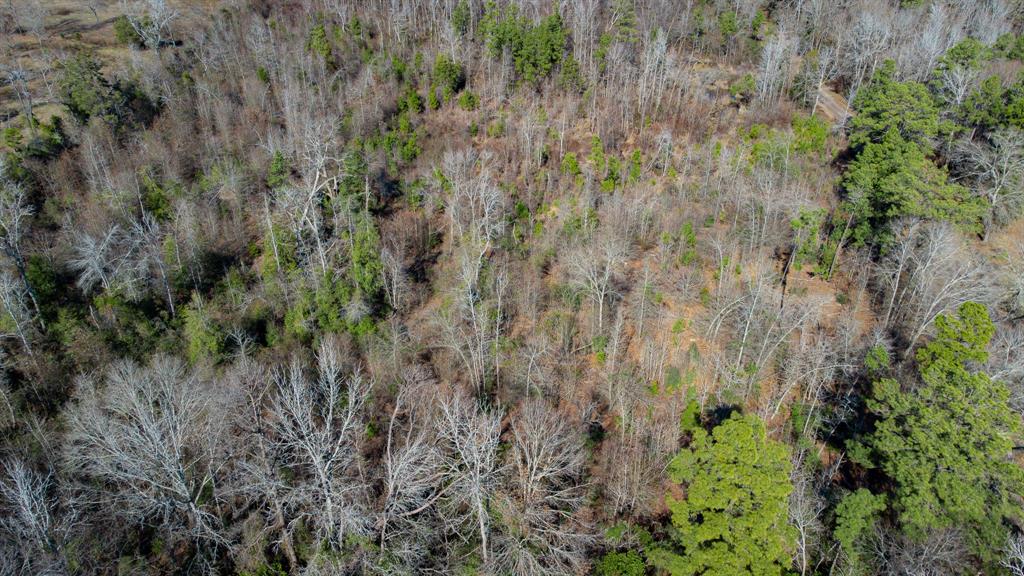 5.032 Acres Cr 3308 Property Photo 25