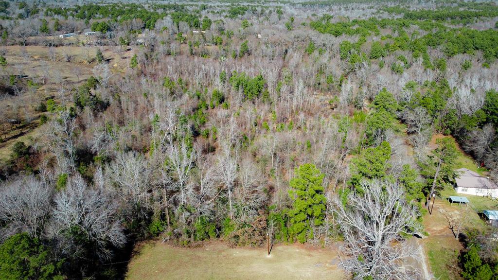 5.032 Acres Cr 3308 Property Photo 26