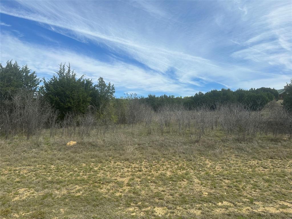 1241 Balcones Lane Property Photo 1