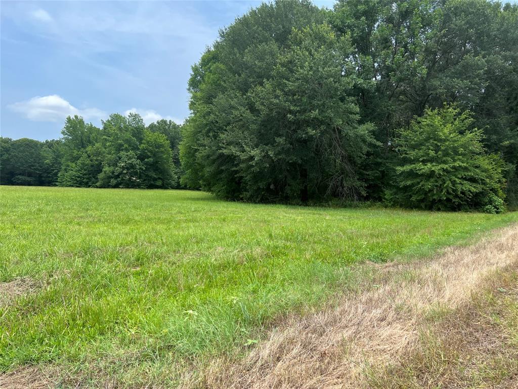Tbd Cr 4130 Property Photo 2