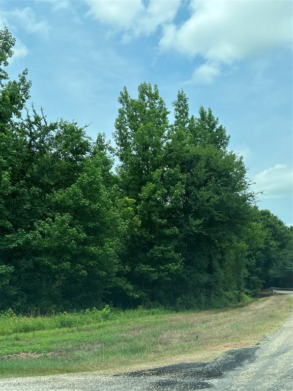 Tbd Cr 4130 Property Photo 5