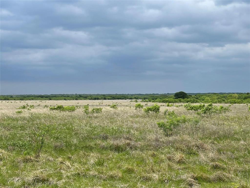 196 Tbd County Road 196 Property Photo 1