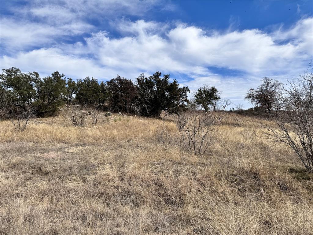 Tbd Lot 196 Carie Drive Property Photo 3