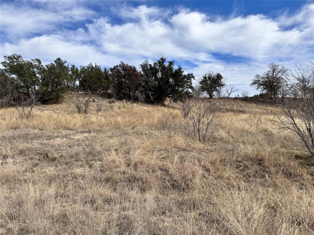 Tbd Lot 196 Carie Drive Property Photo 4