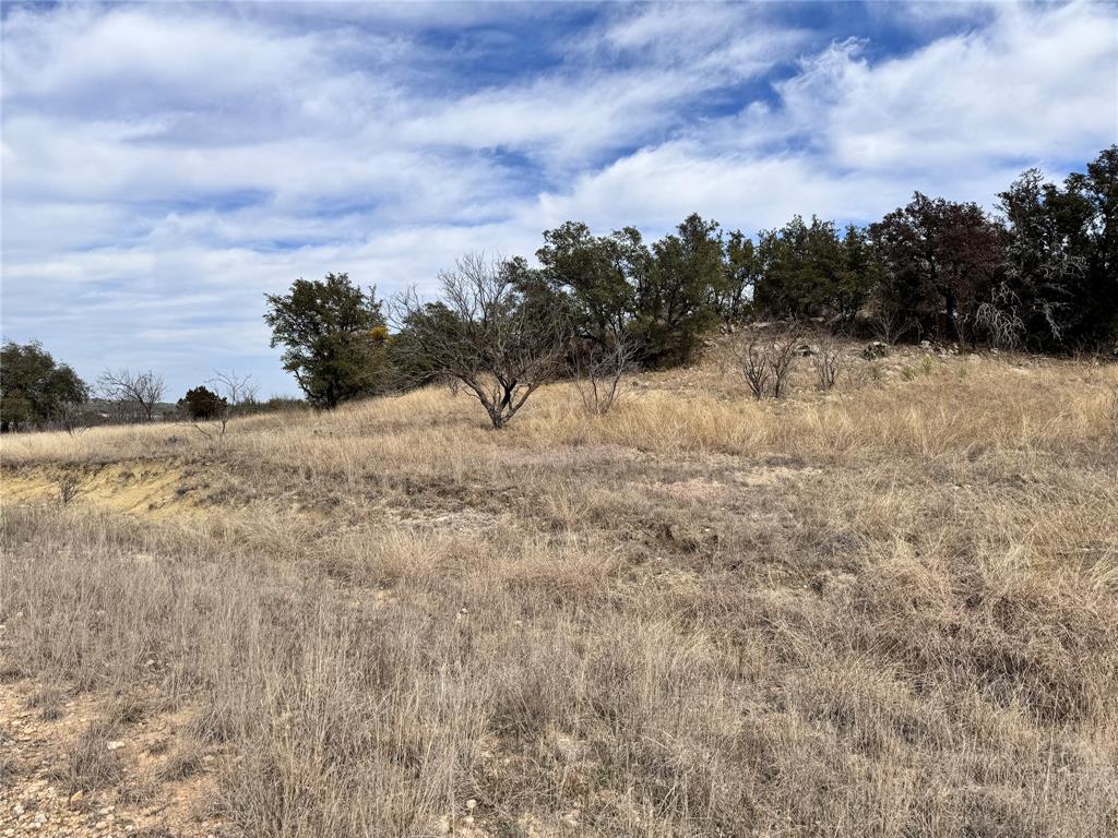 Tbd Lot 196 Carie Drive Property Photo 6