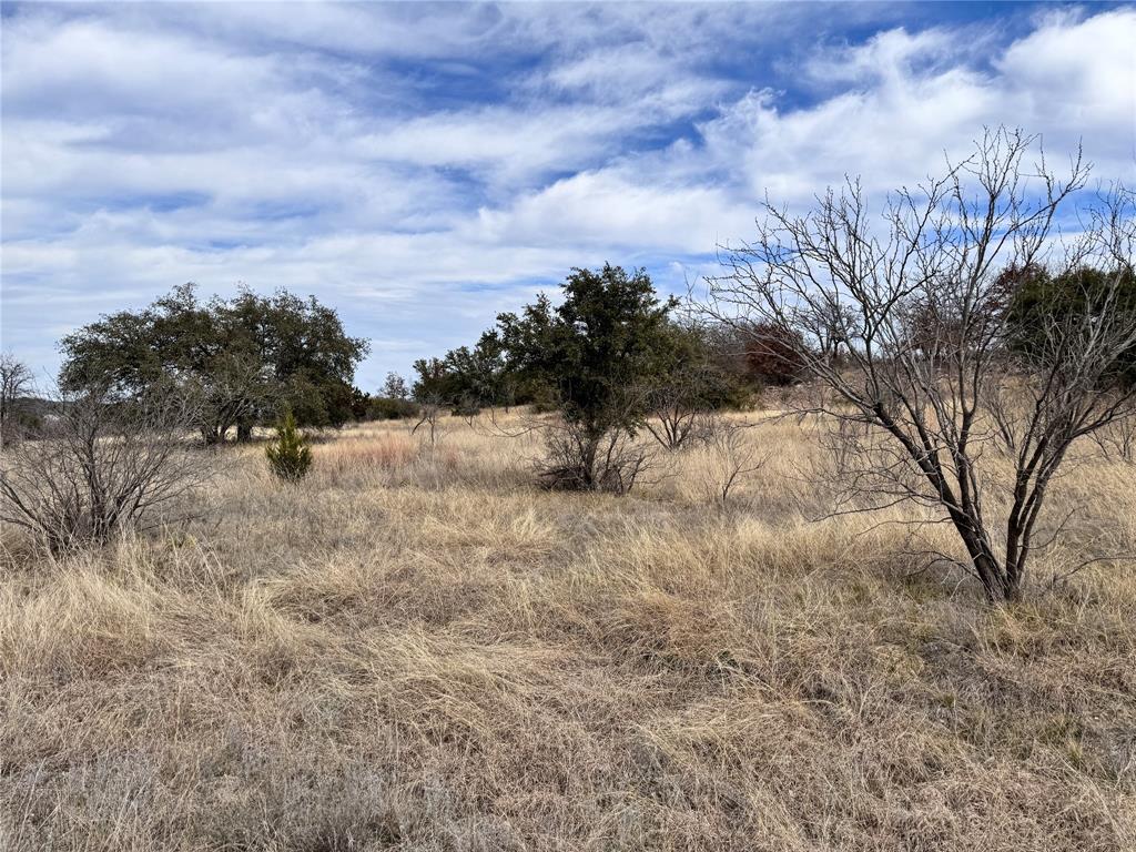 Tbd Lot 196 Carie Drive Property Photo 8