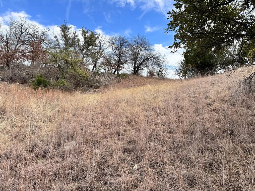 Tbd Lot 196 Carie Drive Property Photo 13