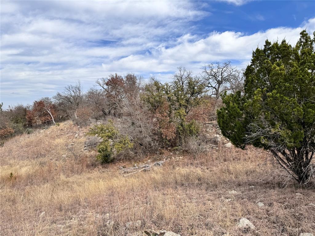 Tbd Lot 196 Carie Drive Property Photo 15