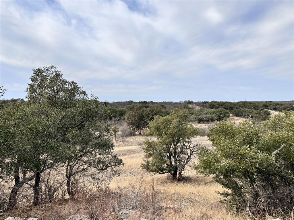 Tbd Lot 196 Carie Drive Property Photo 18