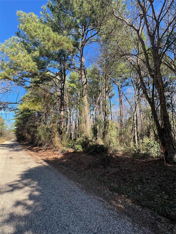Tbd Cr 2314 Property Photo 1