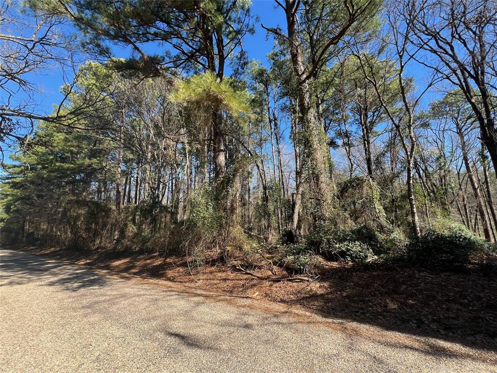 Tbd Cr 2314 Property Photo 2