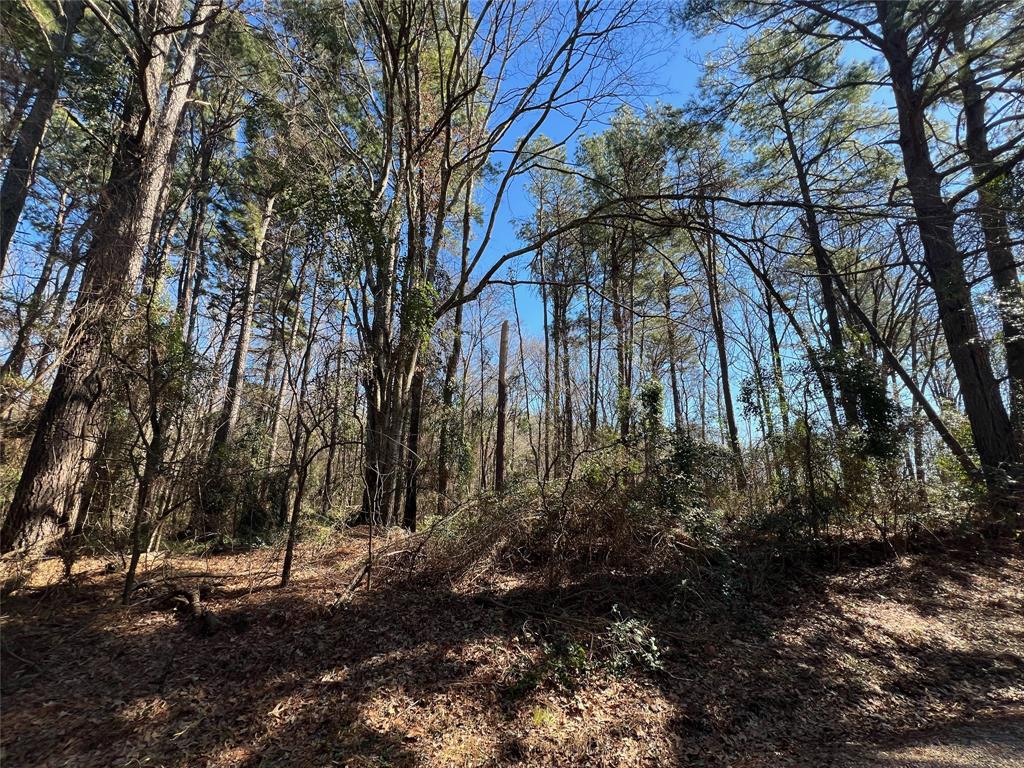 Tbd Cr 2314 Property Photo 3