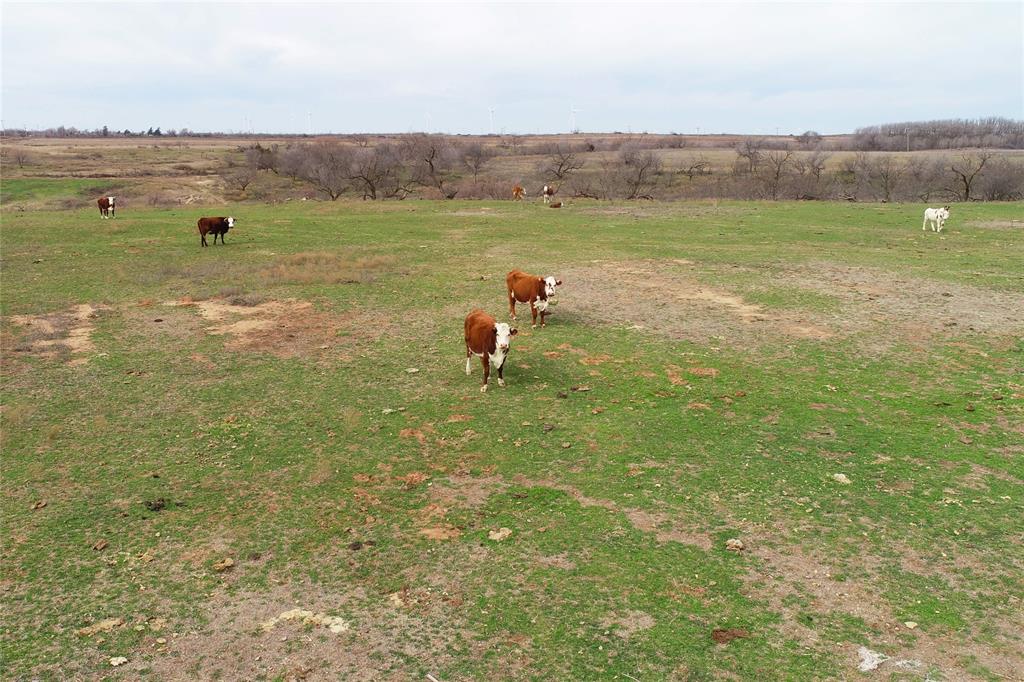 Tbd County Road 105 North Property Photo 4