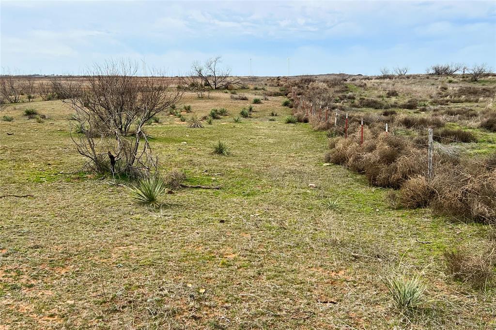 Tbd County Road 105 North Property Photo 7