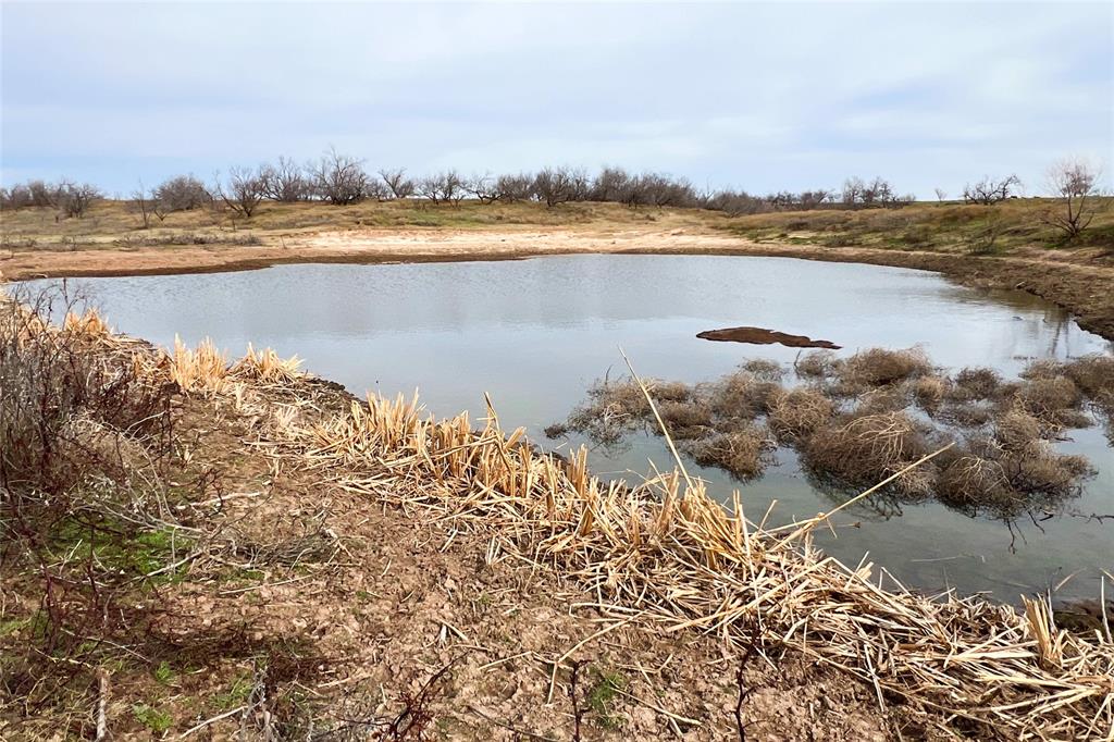 Tbd County Road 105 North Property Photo 16