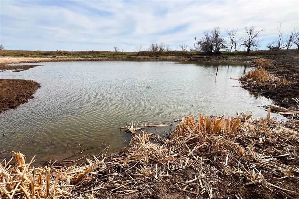 Tbd County Road 105 North Property Photo 17