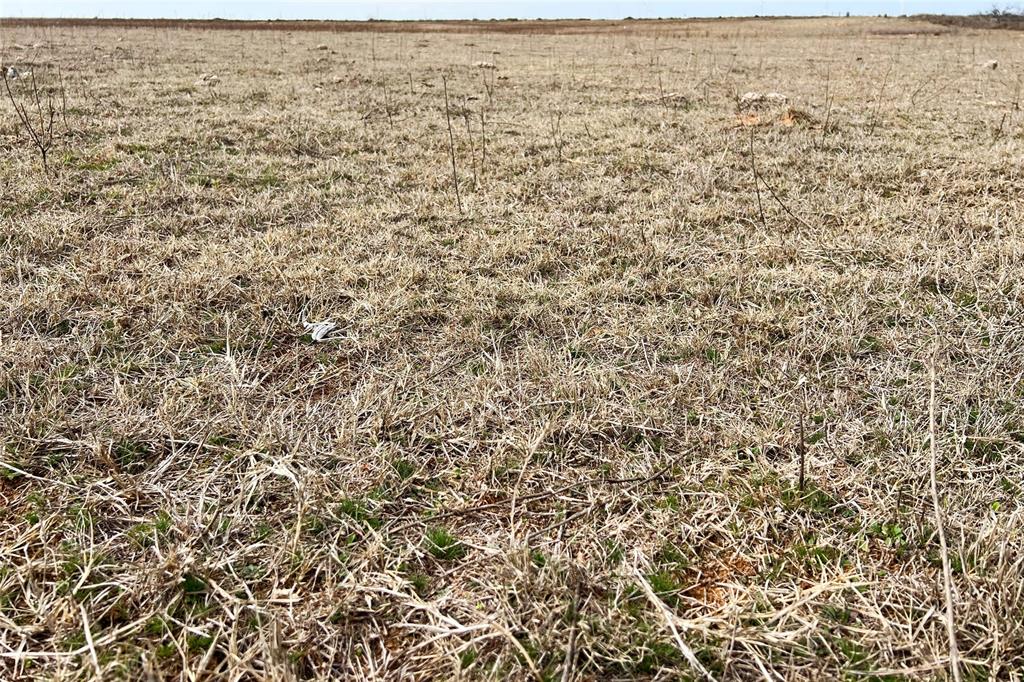 Tbd County Road 105 North Property Photo 19