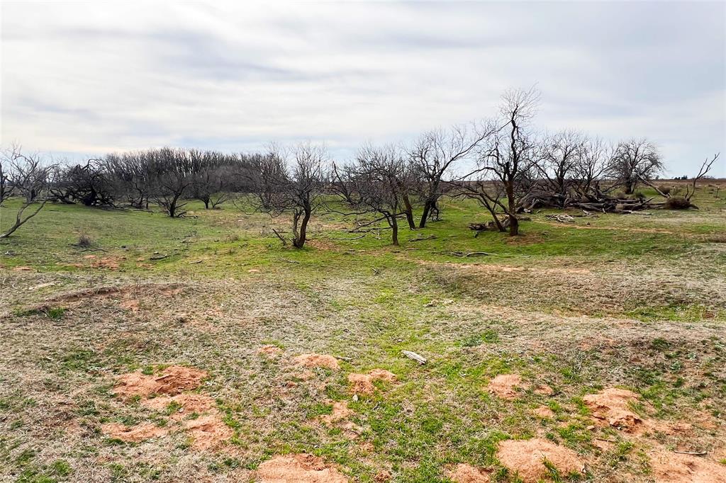 Tbd County Road 105 North Property Photo 28