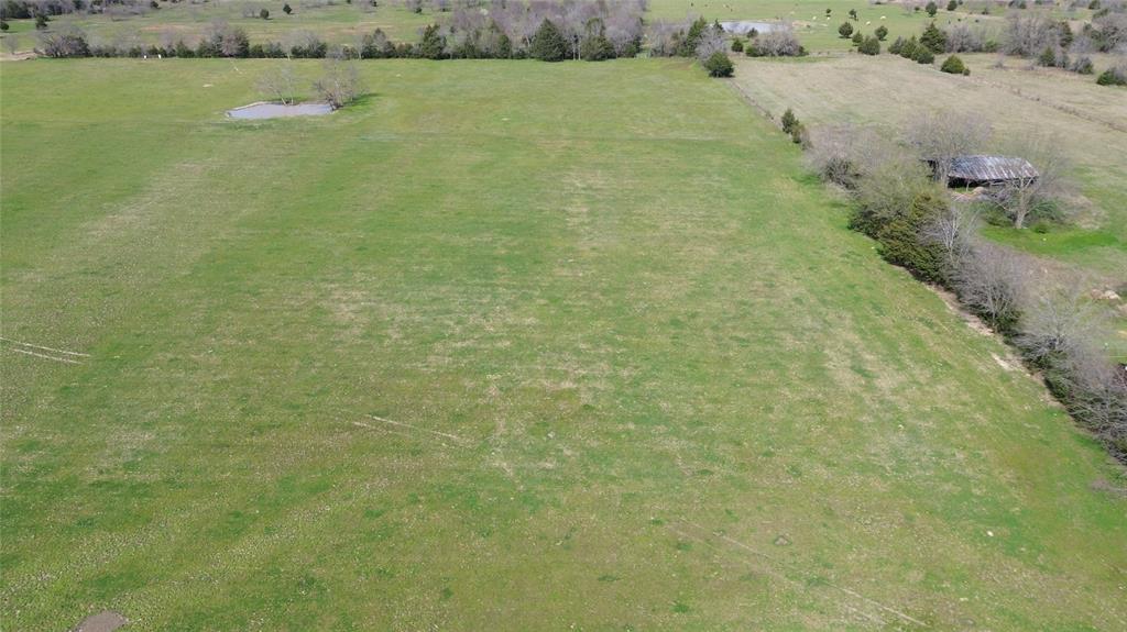 Tbd Fm 1567 Property Photo 10