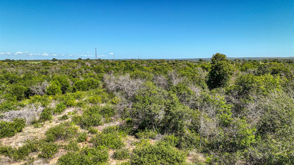 3903 N Fm 51 Property Photo 3