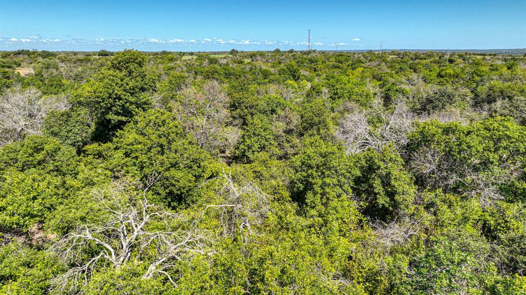 3903 N Fm 51 Property Photo 5