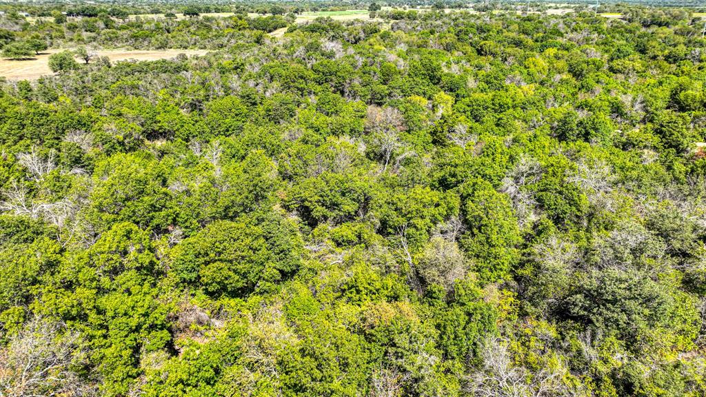 3903 N Fm 51 Property Photo 6