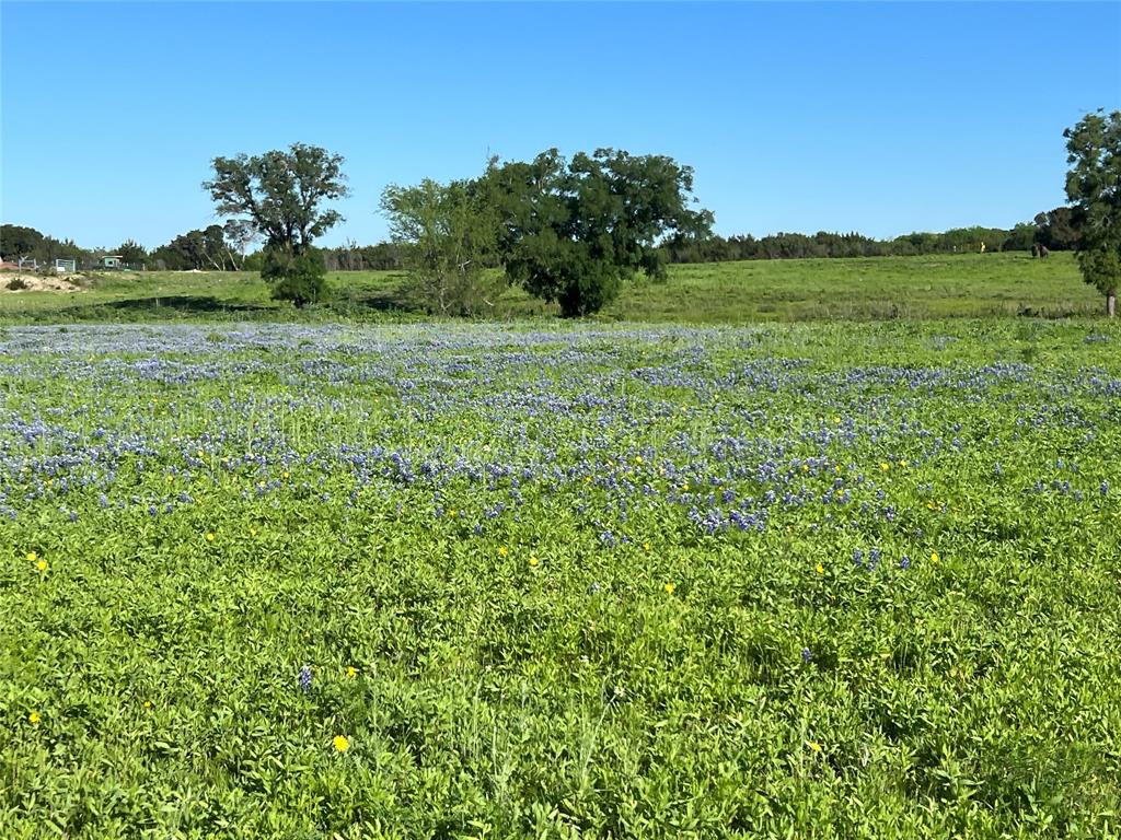 12303 W Highway 67 Property Photo 15