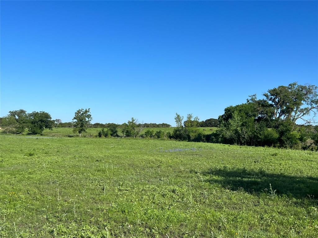 12303 W Highway 67 Property Photo 23