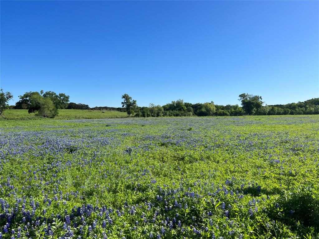 12303 W Highway 67 Property Photo 25