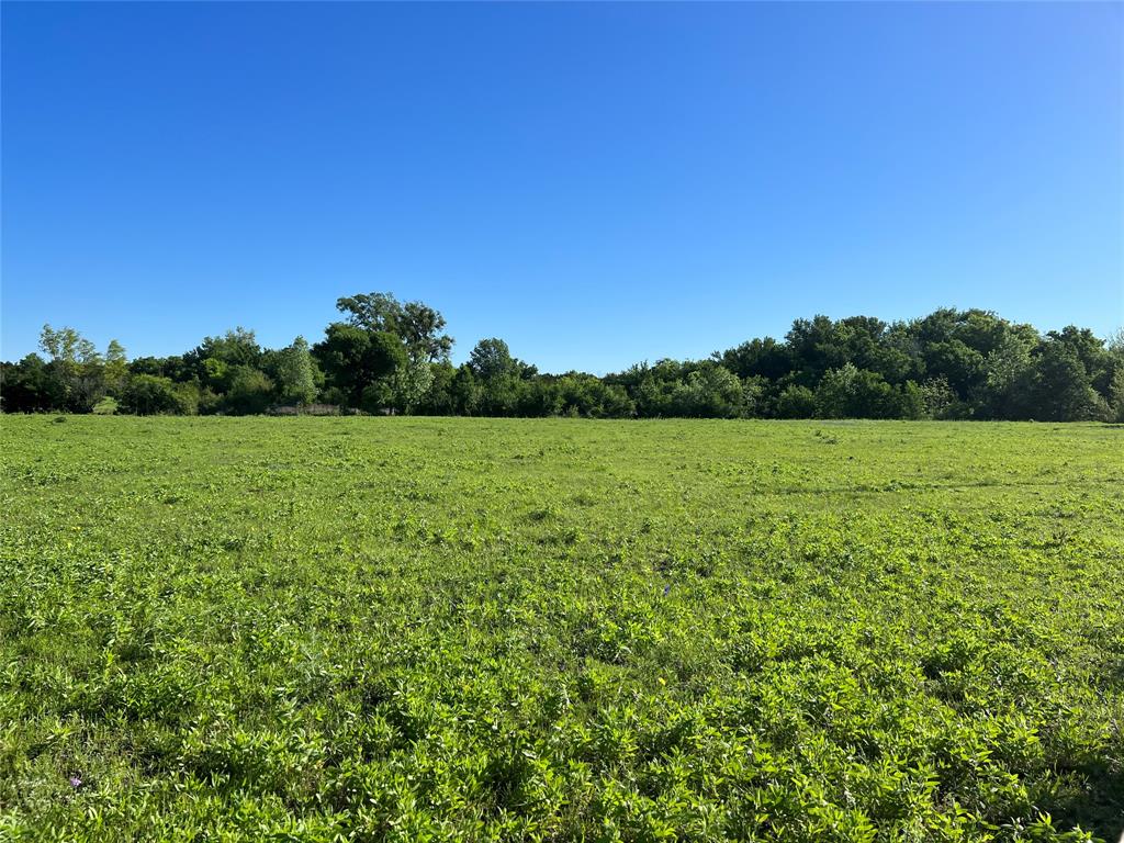 12303 W Highway 67 Property Photo 26