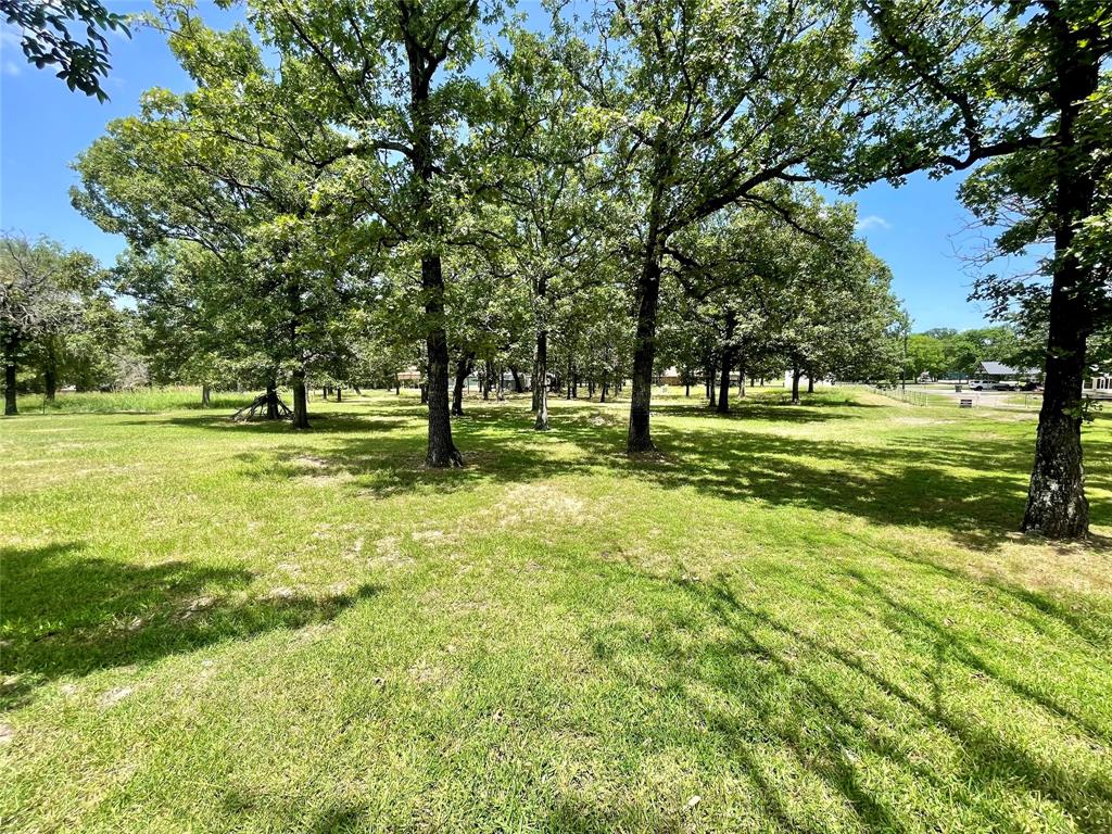 TBD County Road 1996 Property Photo 1