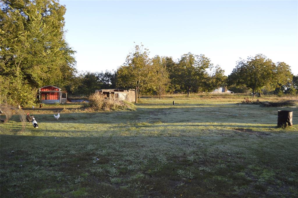 1239 County Road 2070 Property Photo 9