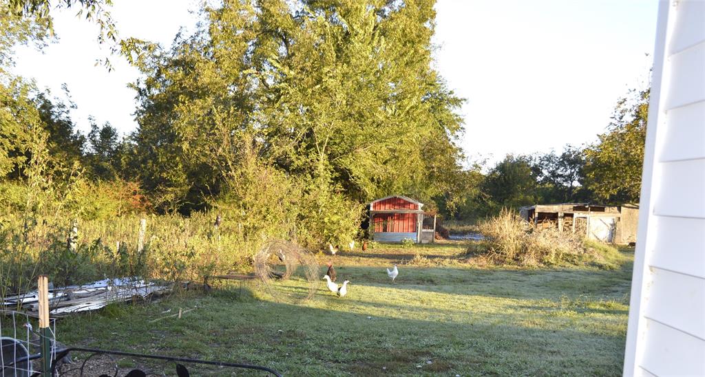 1239 County Road 2070 Property Photo 12